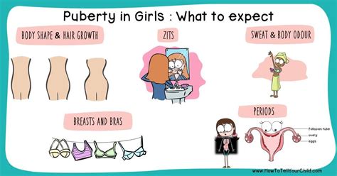 big boob teen|Stages of Puberty Explained in Pictures